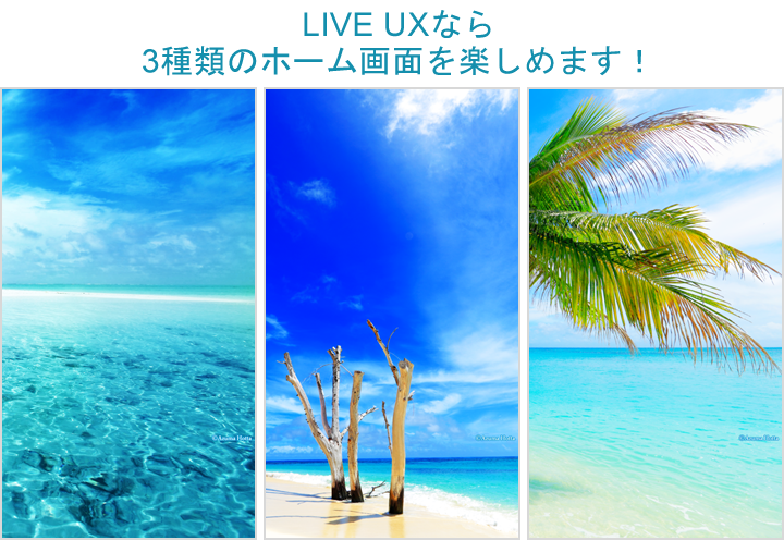 Summer Ocean Liveux詳細ページ 堀田東 Cmn Detail Lux Set V02