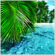 Summer Sunset Liveux詳細ページ Scenery Cmn Detail Lux Set